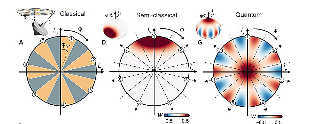 Classical, semi-classical, and quantum spin wheel figure